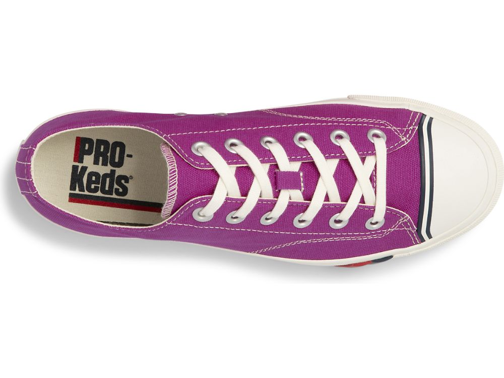 Keds Royal Lo Canvas Joggesko Herre Fuschia | NO-77410