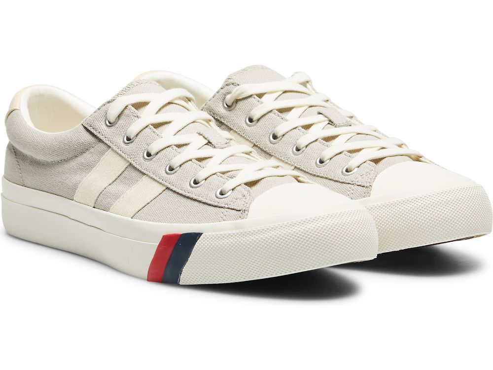 Keds Royal Plus Canvas Joggesko Herre Dyp Grå | NO-18729